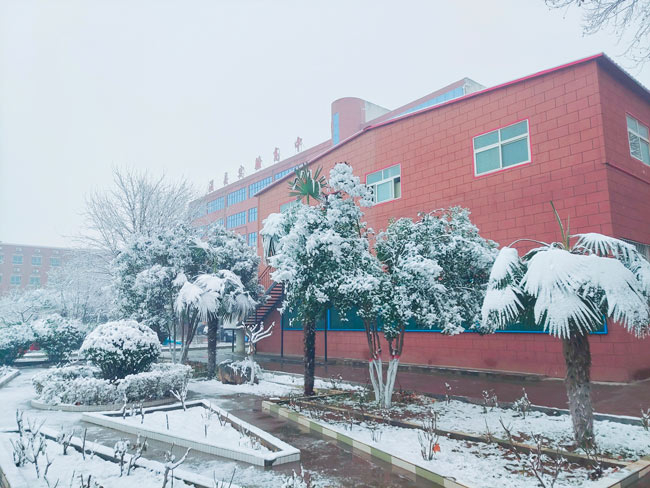 冬天校園風景